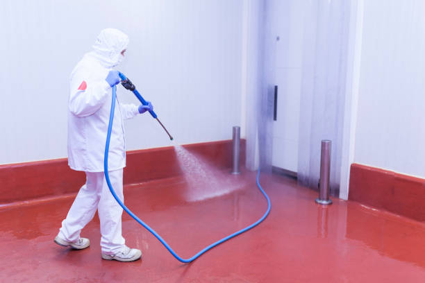 Best Driveway Cleaning and Restoration in Manito, IL