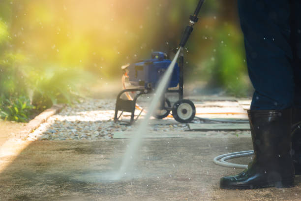 Best Roof Cleaning and Mildew Removal in Manito, IL